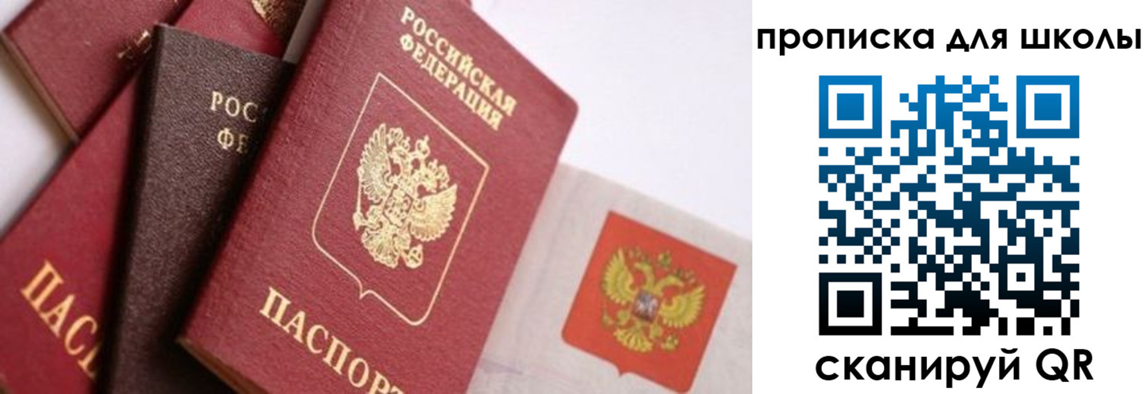прописка поиск в Белёве